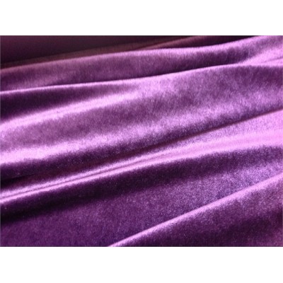 Terciopelo Purpura